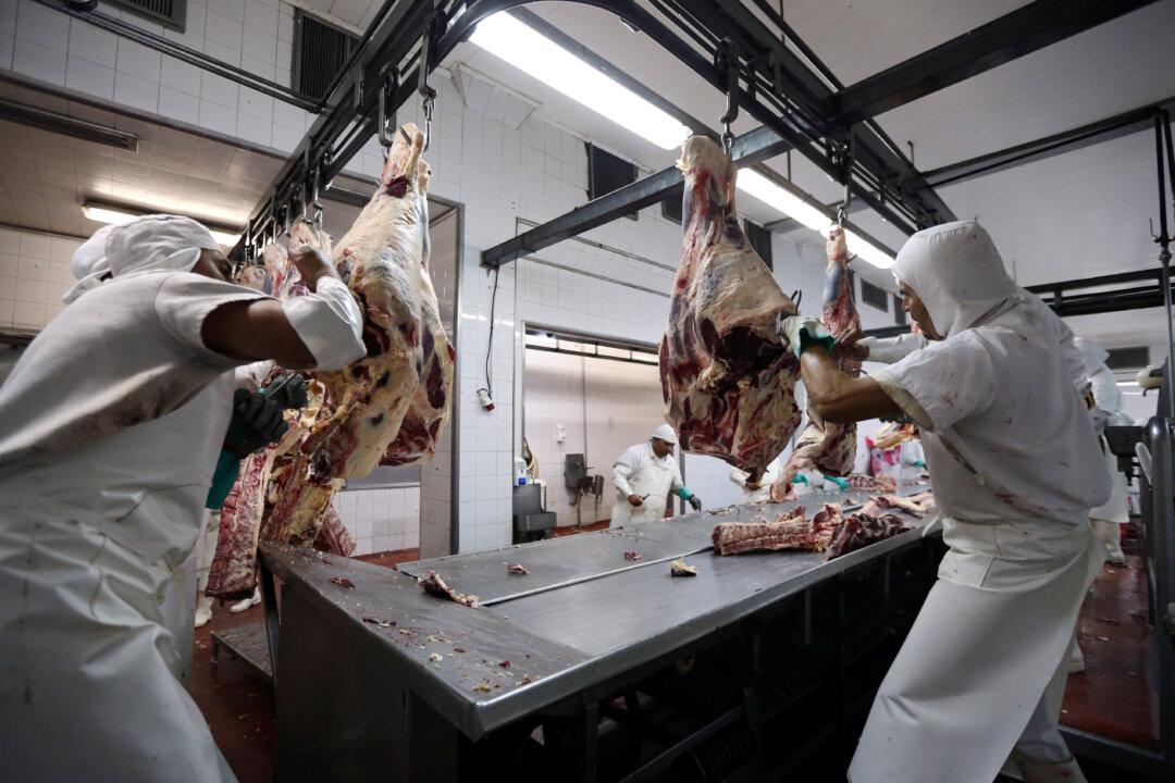 Global Commodity Supply Chain Highly Volatile in 2022