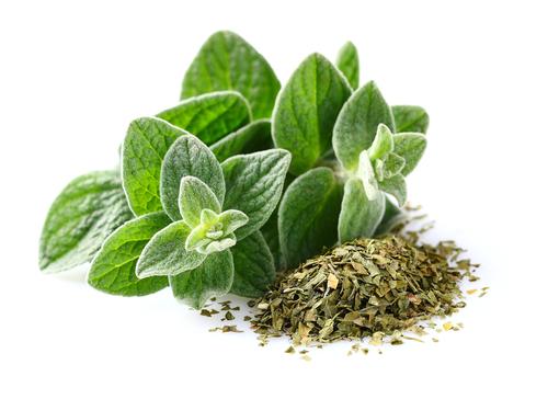 The Joy of Oregano