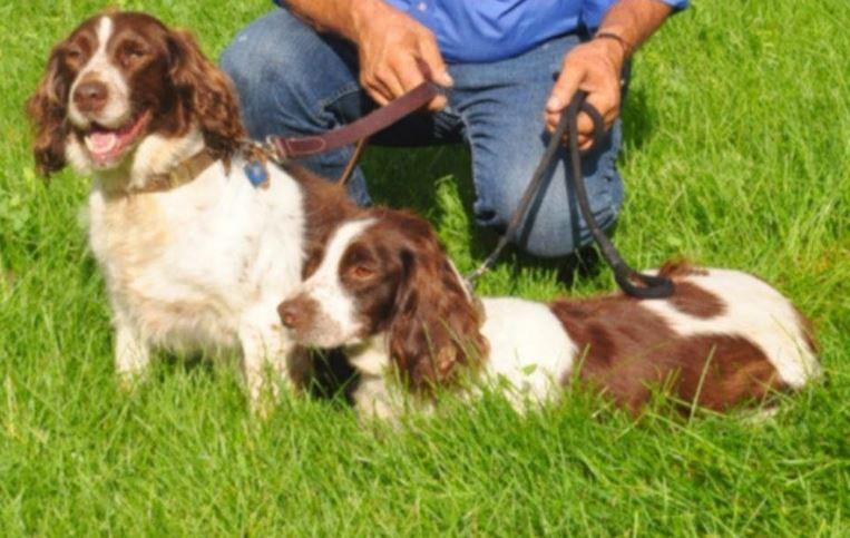 New Hampshire Farm Family Terrorized as Part of Shakedown Plot: FBI