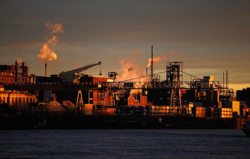 Bayer to Sell Businesses, Cut Jobs After Monsanto Deal