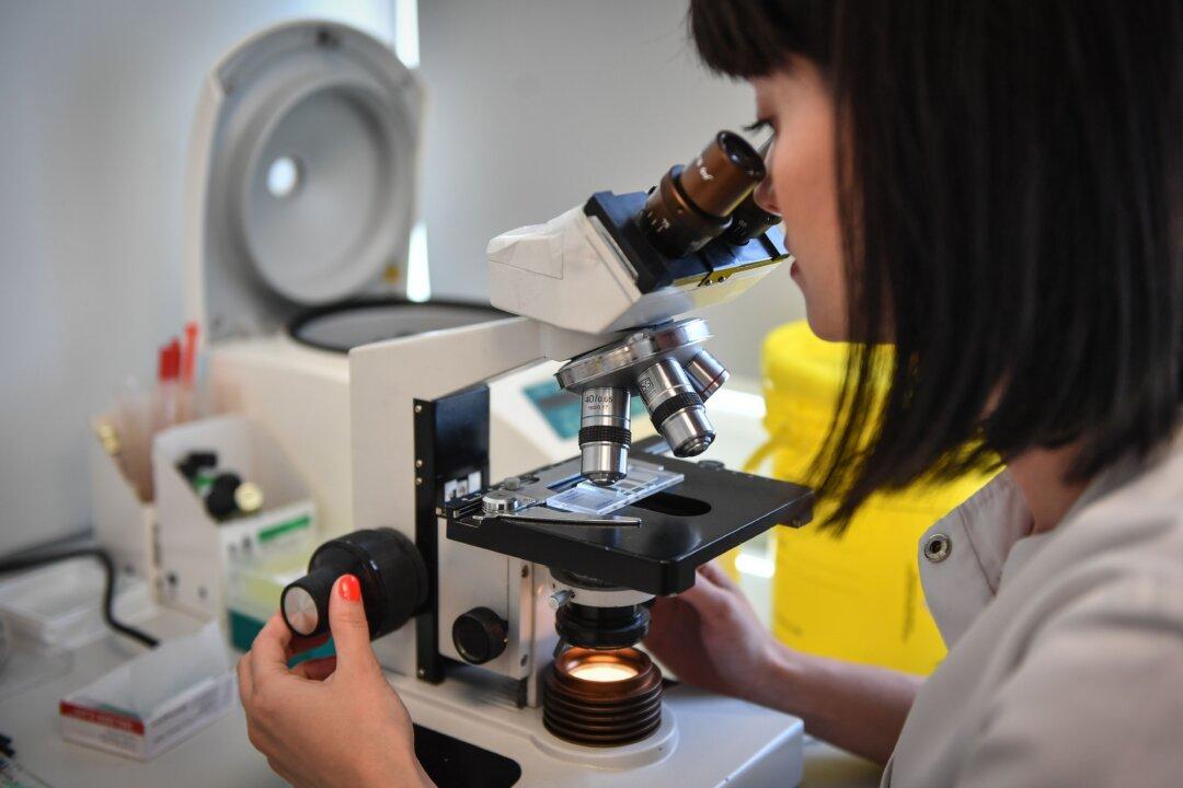 Eastern European Countries Concerned About ‘Brain Drain’ Impact of EU Free Movement Policy