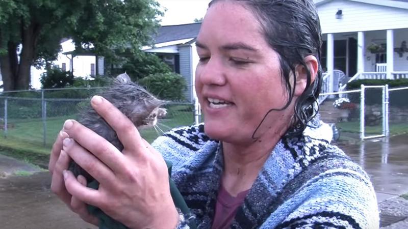 Woman races against time and crawls into storm drain to save drowning kitten