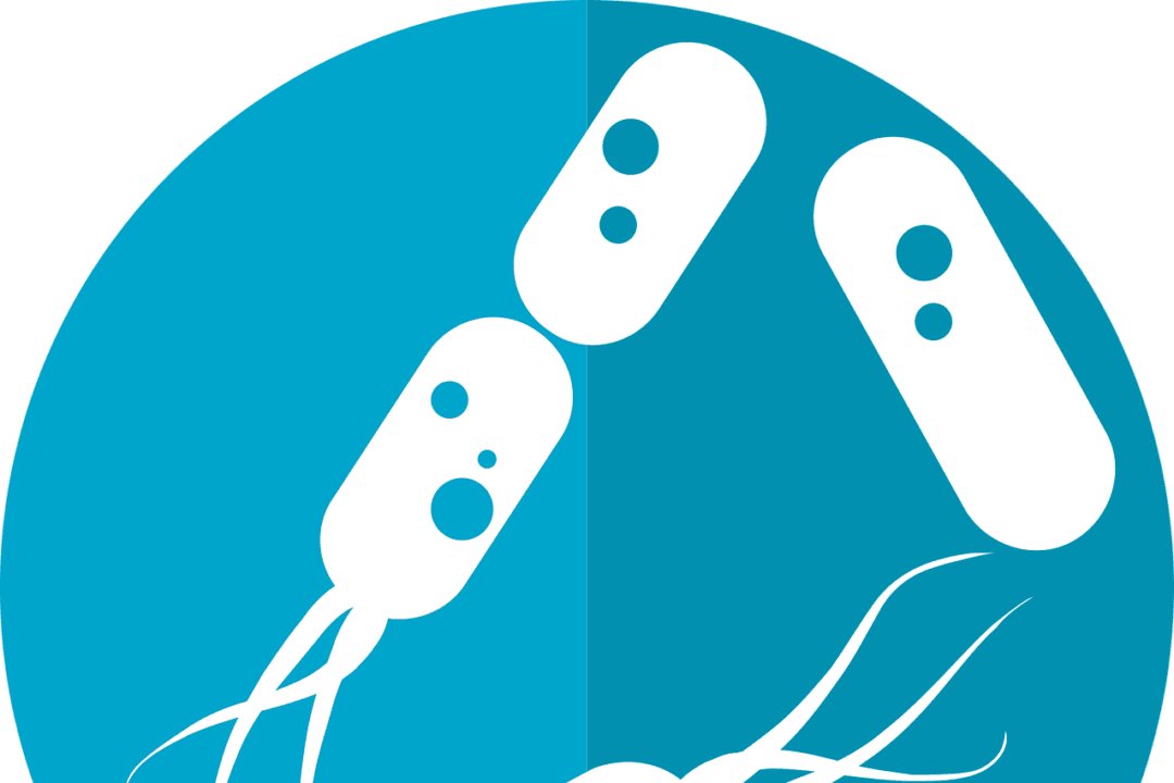 Antibiotics Delete Gut Diversity