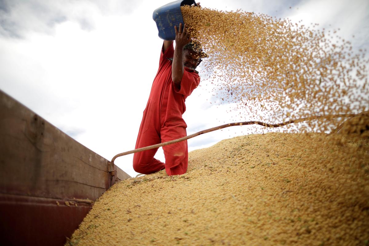 China Makes First Major Buy of US Soybeans Since Trade War Truce
