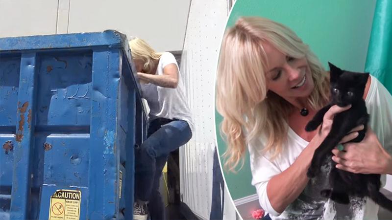 Rescuers called to locate 3 black kittens discarded inside industrial dumpster