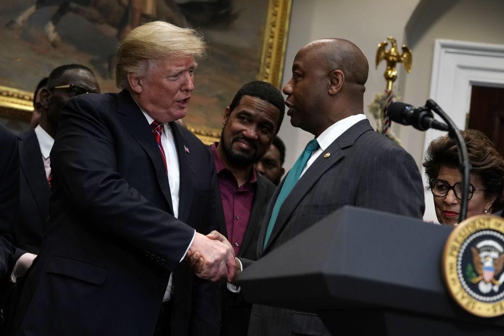 Trump Secured Support From Three Key Voter Demographics in New Hampshire: Tim Scott