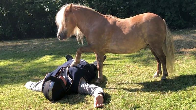 Two talented ponies show off ‘CPR skills’ in cute video