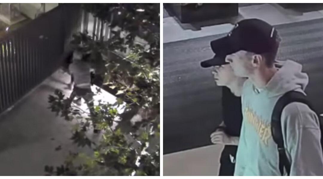 Video Shows Homeless Man Fatally Assaulted in Downtown Los Angeles