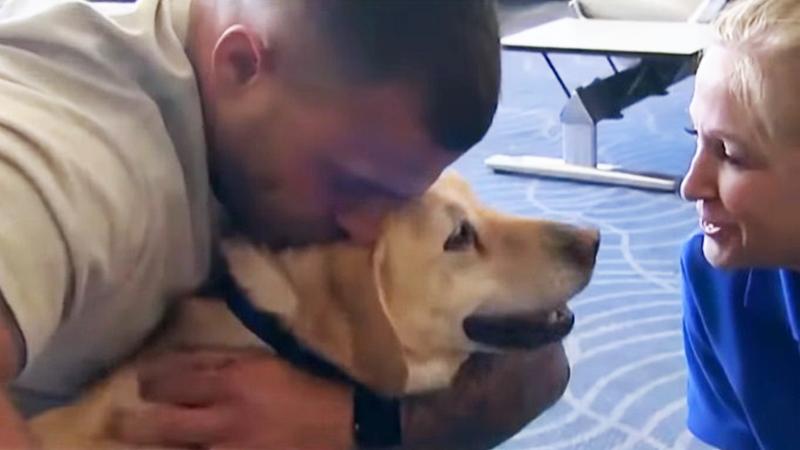 Sniffer dog with a nose the Taliban hated is reunited with her handler at long last