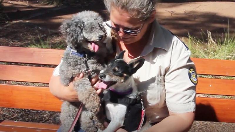 Two sweet, blind dogs find comfort with each other after being adopted