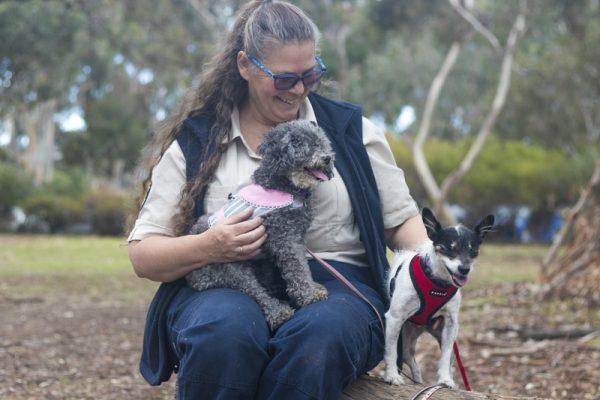 Photo courtesy of <a href="https://www.rspcasa.org.au/sugar-lolly-rescue/">RSPCA South Australia</a>
