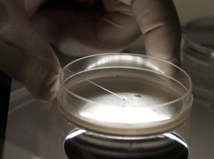 Branding Science Policy Critics ‘Anti-Science’ Is Anti-Science