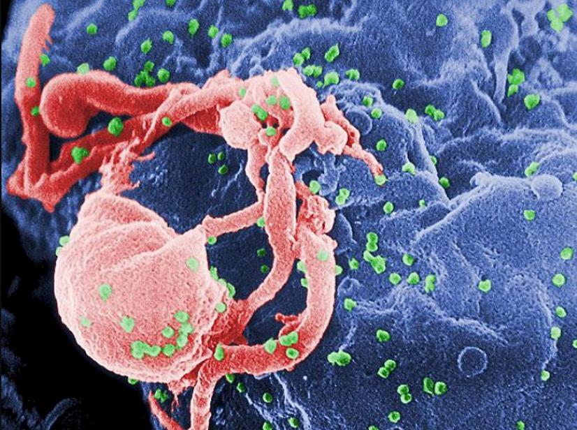 Over 3,000 Patients Possibly Exposed to HIV, Hepatitis at New Jersey Clinic