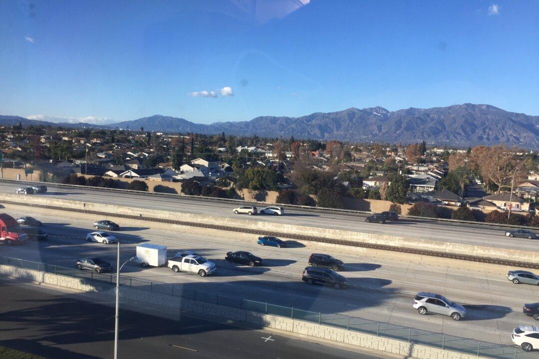 Alleged Car Thief Dies on Christmas Eve After Being Restrained by Civilians