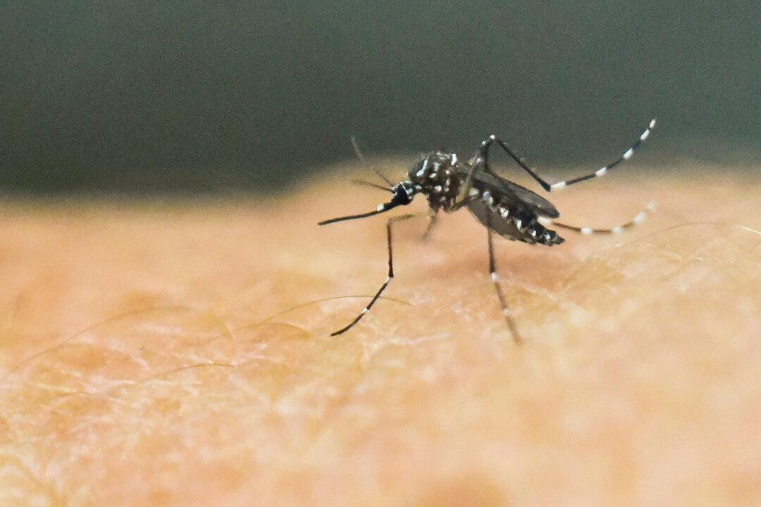 Louisiana Police Zika Meth Warning Goes Viral