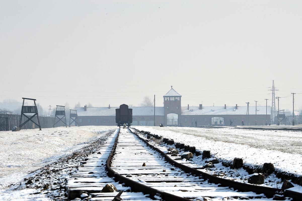 Holocaust Survivor Who Escaped Gas Chamber at Auschwitz Blasts Trump Critics