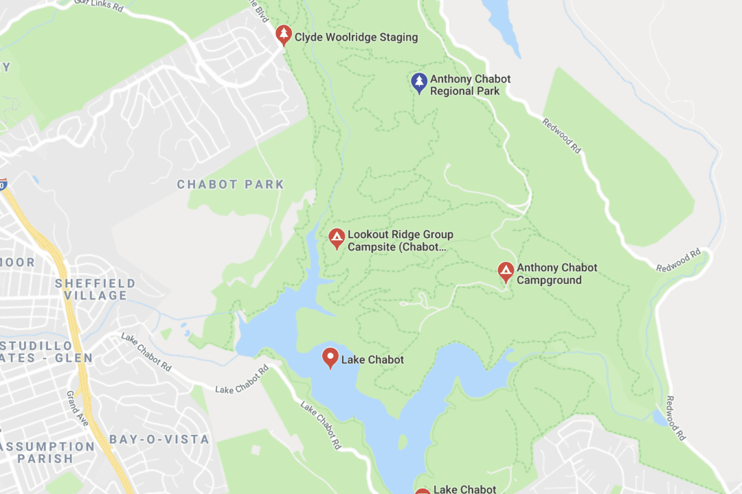 California Woman Arrested for Allegedly Biting Jogger