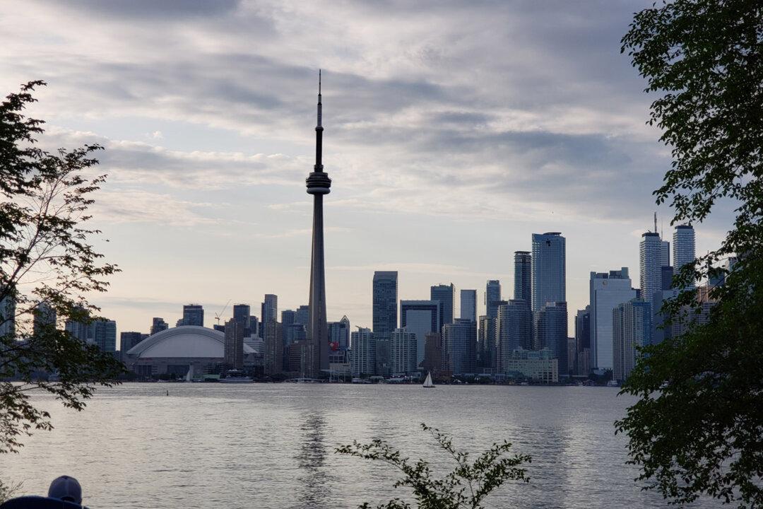 Buying Wisely in a Changing Market