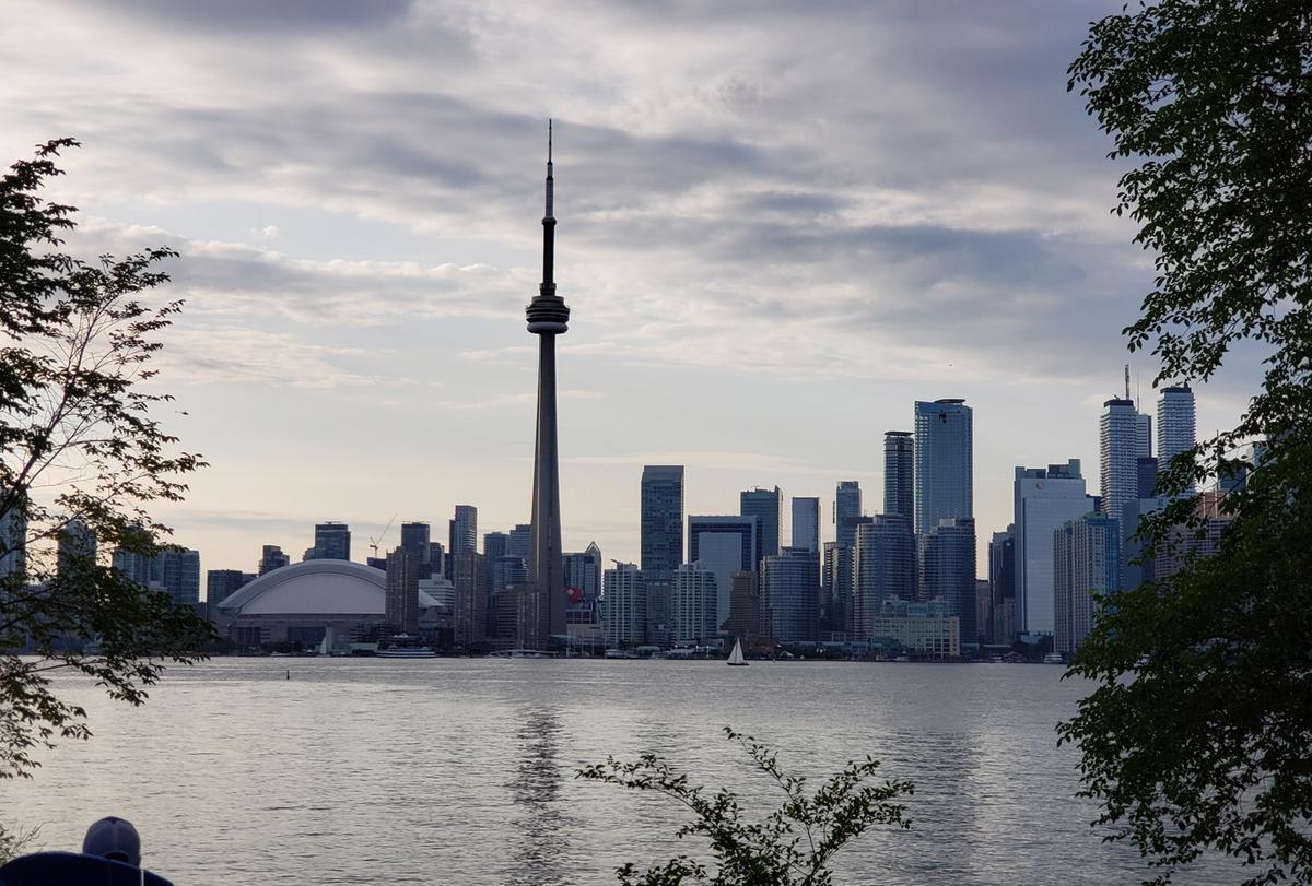 Buying Wisely in a Changing Market