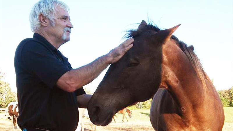 Vietnam Veteran With PTSD Finds Peace After Volunteering at Blind Horse Rescue