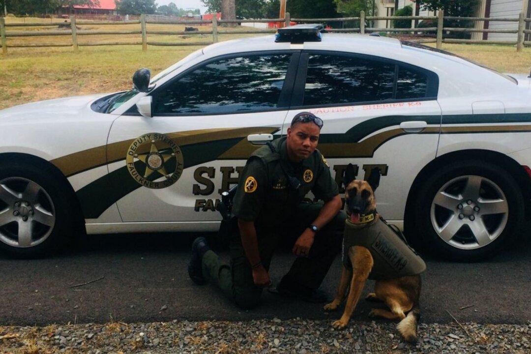 Arkansas Department Fires Sheriff’s Deputy After Chihuahua Shooting