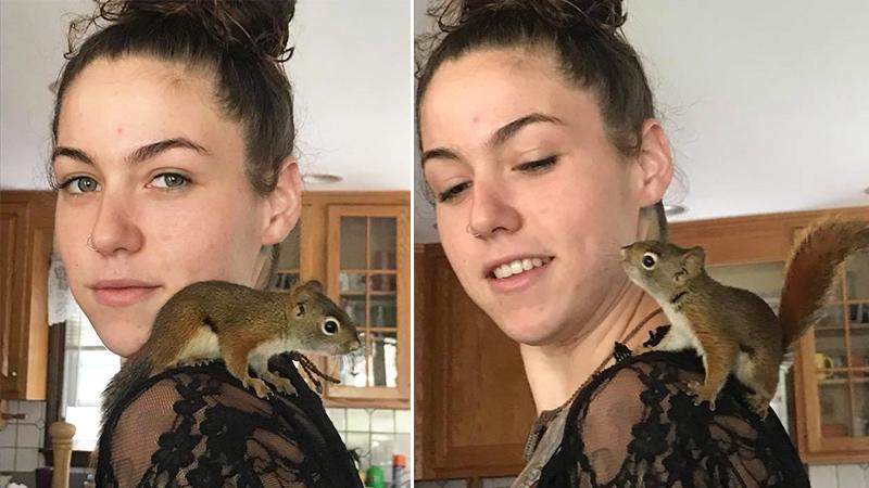 Grateful Squirrel Returns to Say ‘Thank You’ to Woman Who Saved Him
