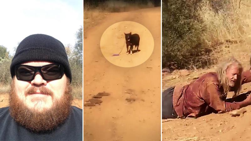 Dog Alone in The Mountains Leads Truck Driver To Fallen, Injured Owner