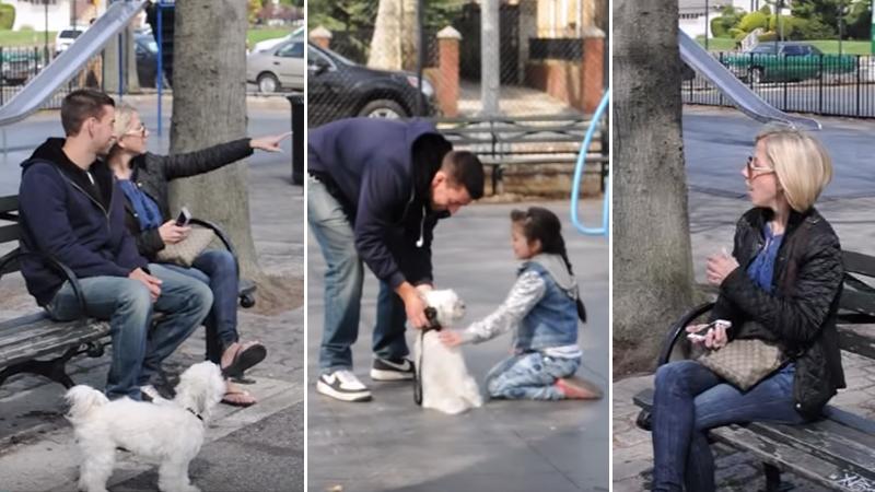 How Easy Is It to Lure Kids Away? These Strangers Only Needed One Cute Puppy