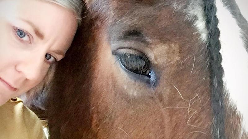 With One Look, Rescued Horse Stops Woman From Committing Suicide