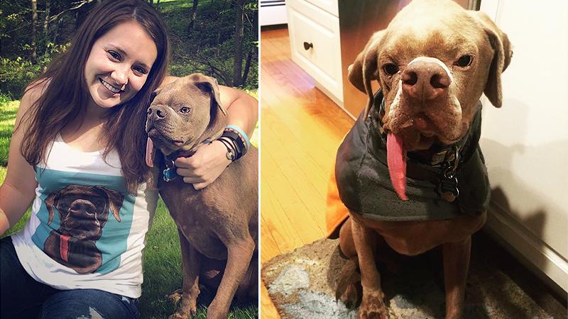 Dog With Quirky Face Was Almost Put to Sleep, But Was Saved by Last-Minute Tail Wag