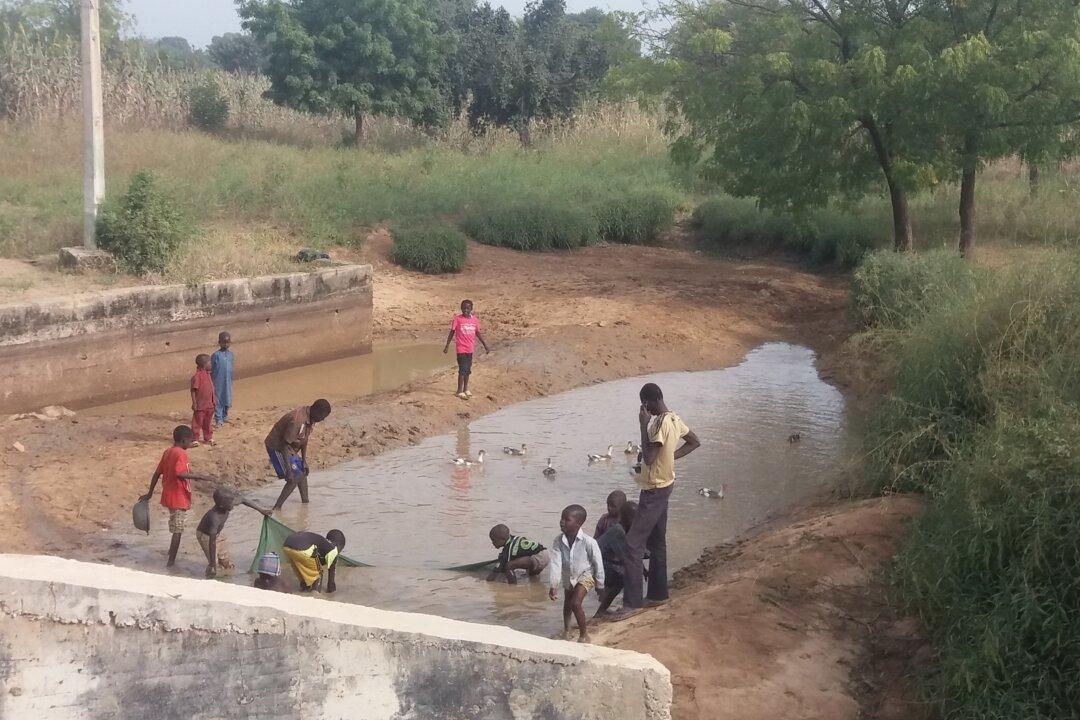 Fate of 10 Million Children Uncertain as Nigeria’s Religious Leaders Clash Over Education Initiative