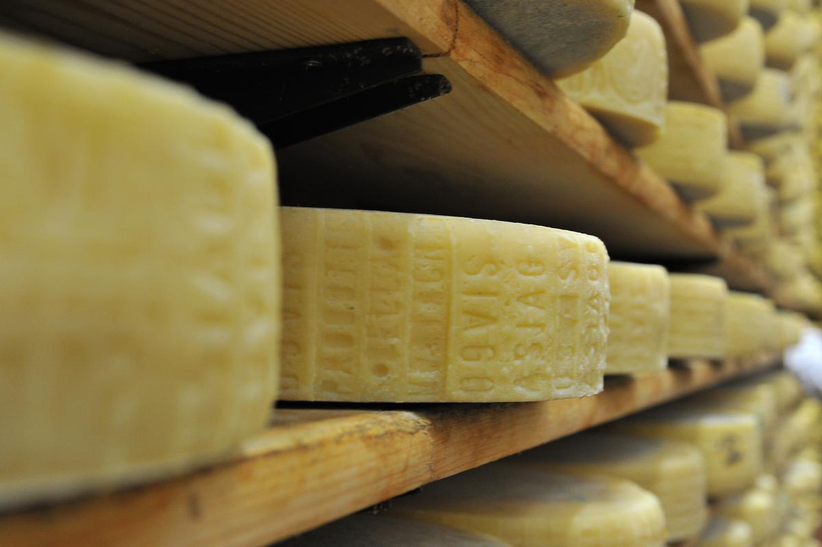 The Enchantment of Italian Asiago