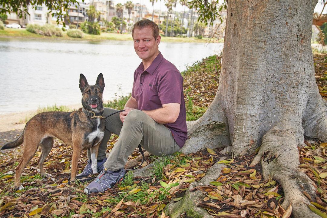 Training Dogs for Duty