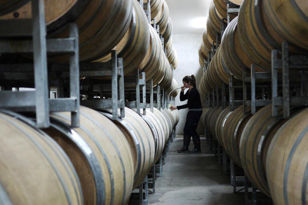 Professor Blames Chinese Counterfeits for Causing $3.1 Trillion Loss for Global Wine Industry