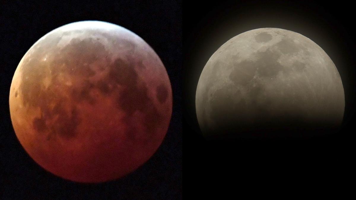 Florida Officer Hits Two Pedestrians Lying on Road Watching Lunar Eclipse: Reports