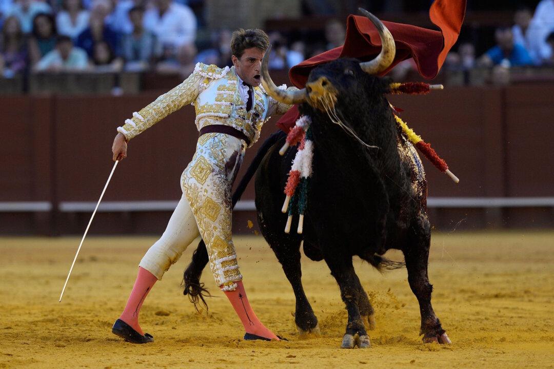 The Fight to Preserve Bullfighting in Spain