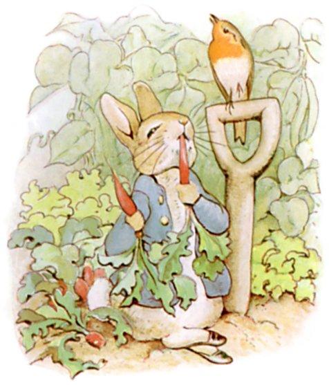 Peter Rabbit: Why It Is Still One of the Greats of Children’s Literature