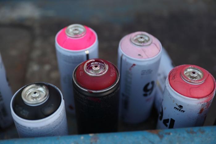 Dog Found Beaten and Spray Painted in Alley, Now Recovering