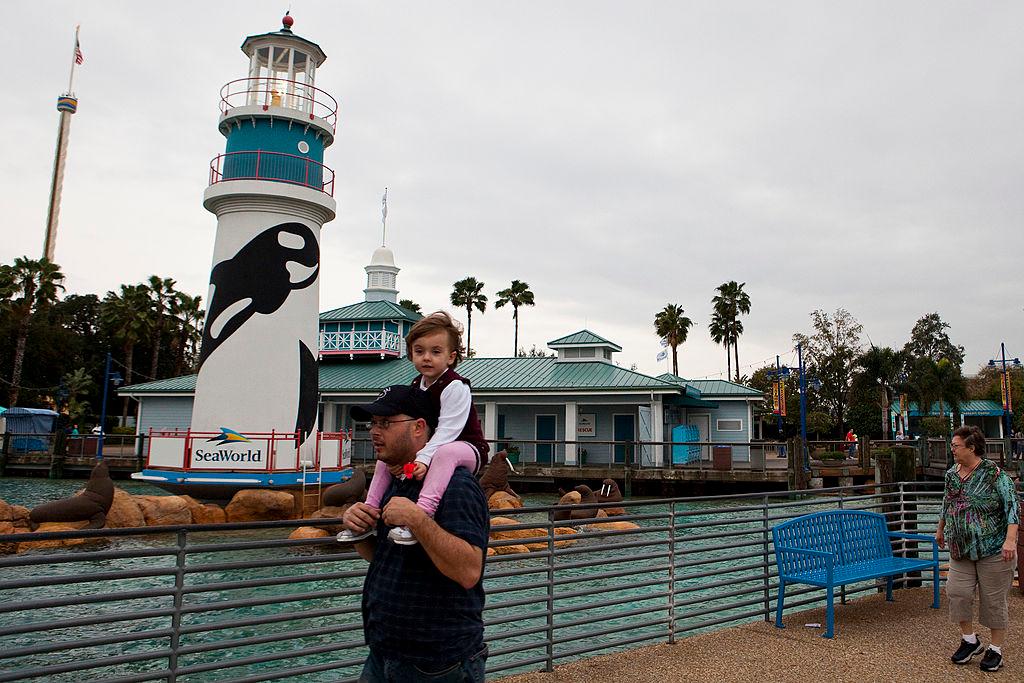 30-Year-Old SeaWorld Orca Dies at a Young Age: ‘Not Normal’