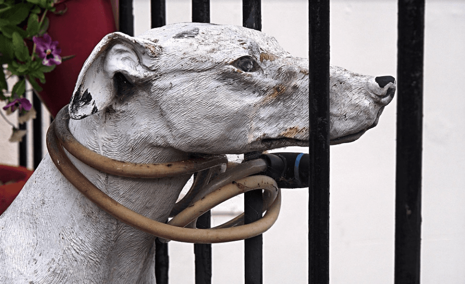 Congressmen Propose Bipartisan Bill That Would Make Animal Cruelty a Felony