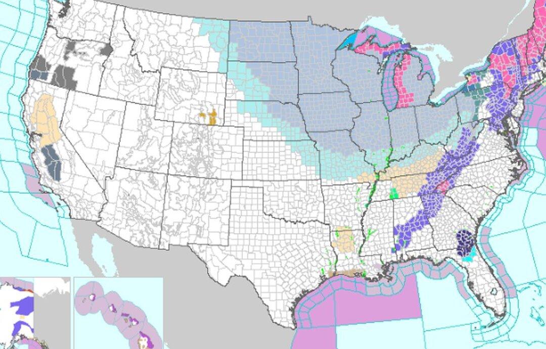 Polar Vortex Hits: Chicago Forecast to Be Colder Than Antarctica This Week