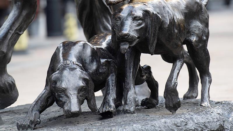 Incredibly Rare Puppy Is So Shiny That People Mistake Her for a Metal Statue