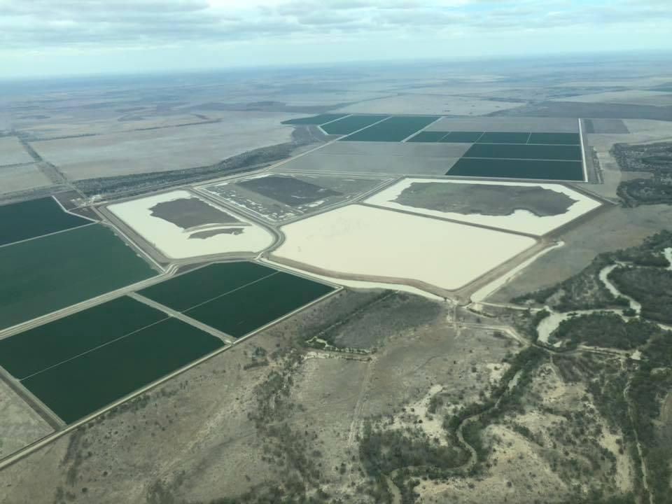 Aussie Farms Accused of Not Sharing Water Despite Murray River Disaster