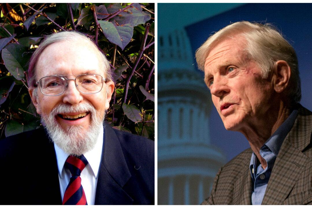 David v David (The Book)