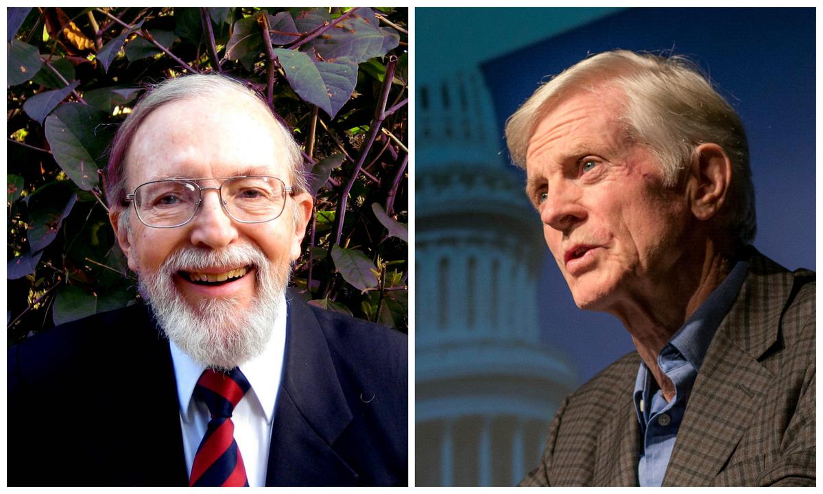 David v David (The Book)