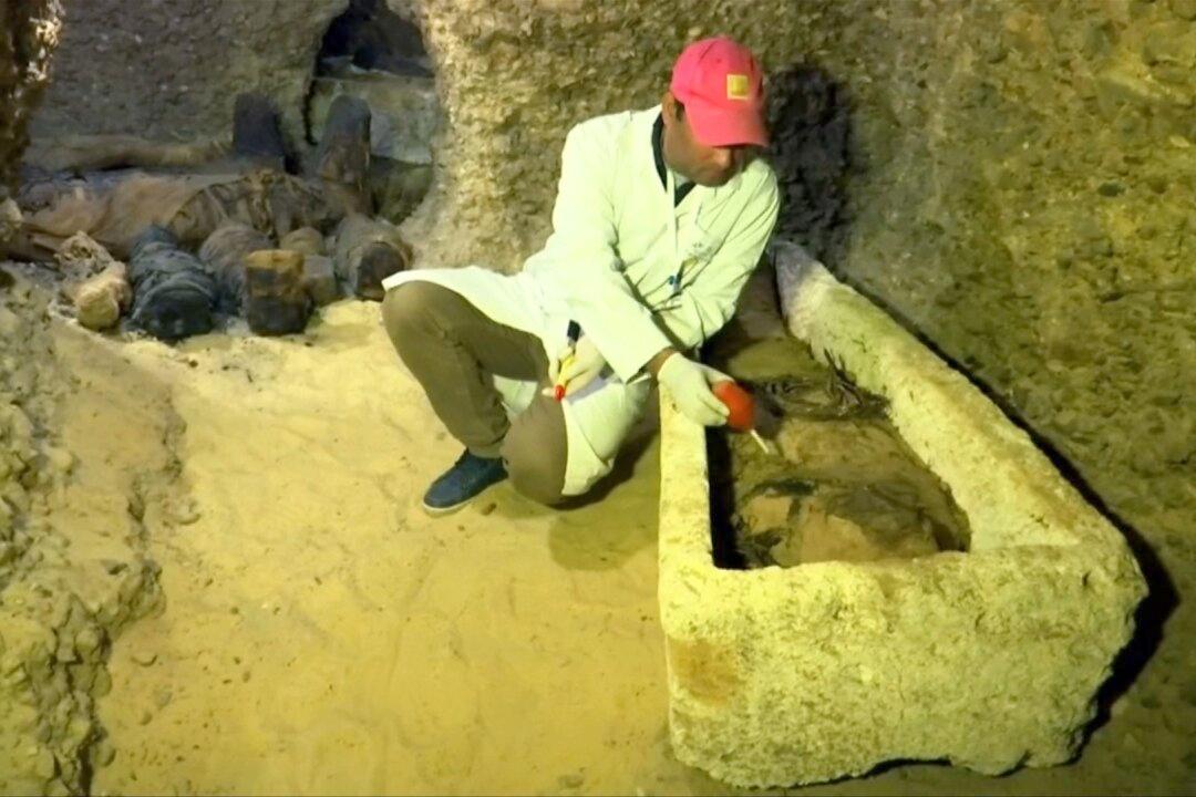 Burial Site of Fifty Mummies Discovered in Egypt