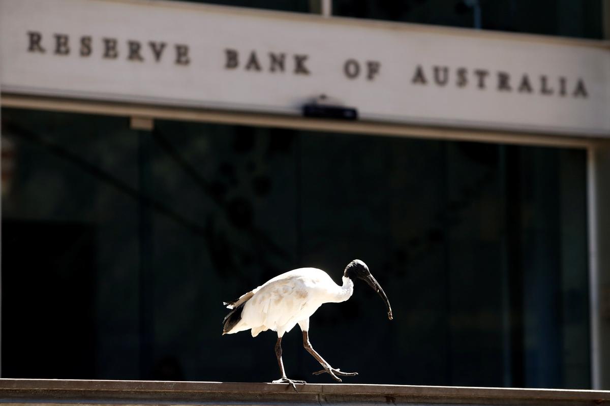 Australia Hikes Official Interest Rate for First Time in Over a Decade