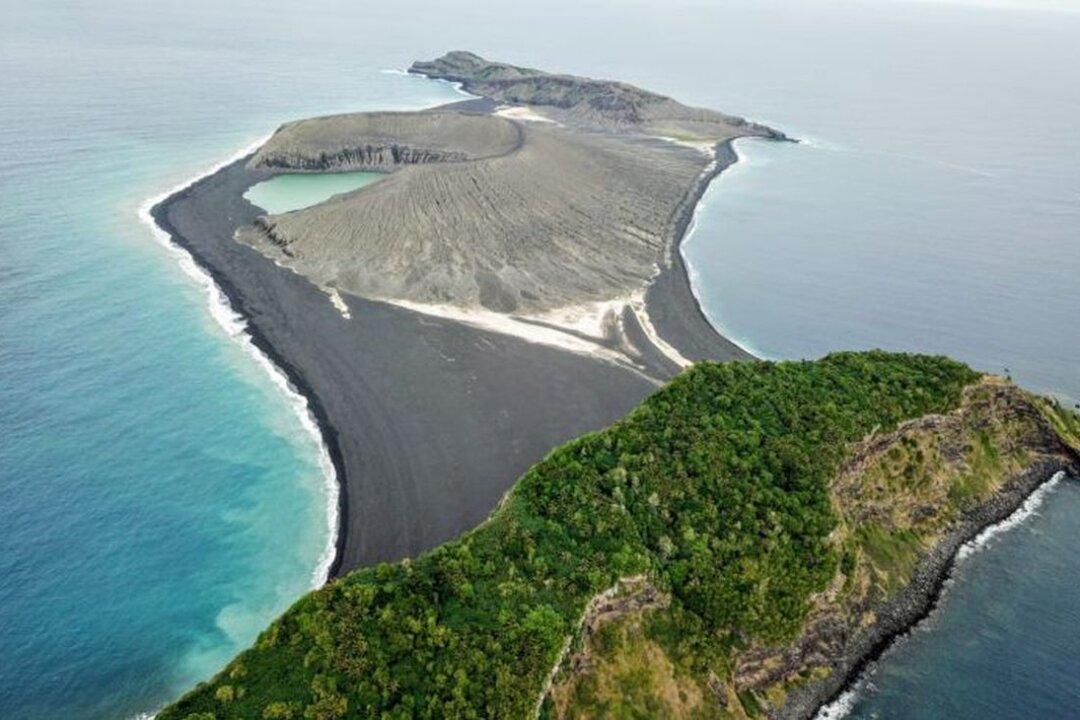 Life Colonizes Mysterious Island That Appeared in the Pacific Ocean in 2014