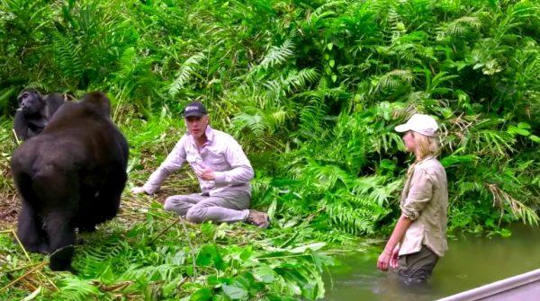 (Courtesy of The Aspinall Foundation)