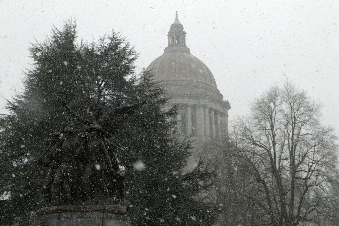 Personal Information from Washington Licensing Database May Be on Dark Web